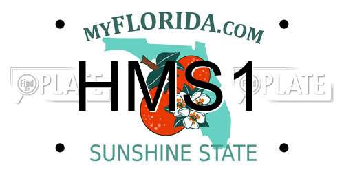 HMS1 Florida License Plate