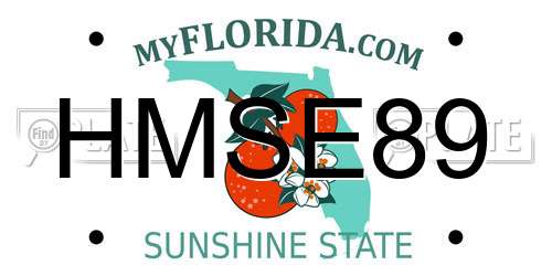 HMSE89 Florida License Plate