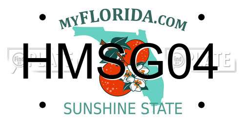 HMSG04 Florida License Plate