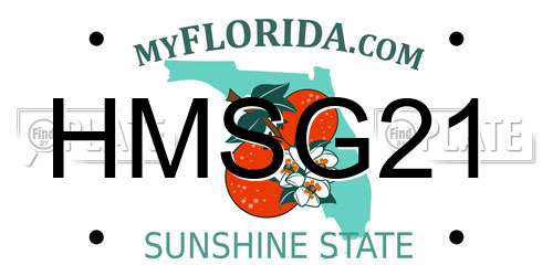HMSG21 Florida License Plate