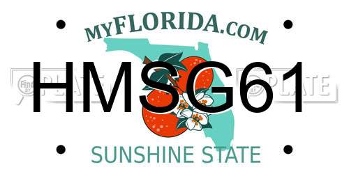 HMSG61 Florida License Plate