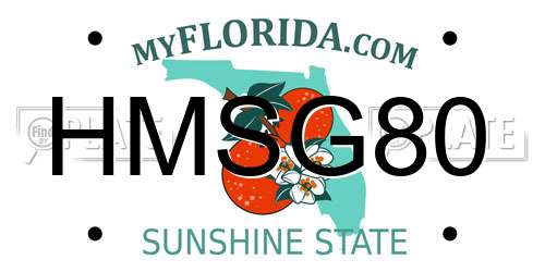 HMSG80 Florida License Plate