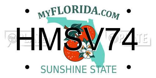 HMSV74 Florida License Plate