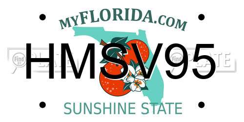 HMSV95 Florida License Plate