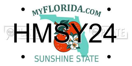 HMSY24 Florida License Plate