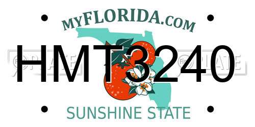 HMT3240 Florida License Plate