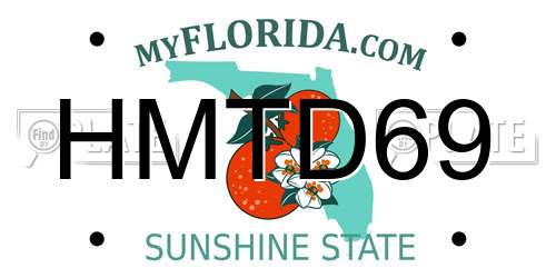 HMTD69 Florida License Plate