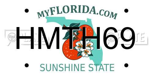 HMTH69 Florida License Plate