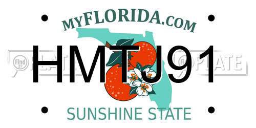 HMTJ91 Florida License Plate