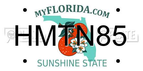 HMTN85 Florida License Plate