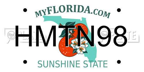 HMTN98 Florida License Plate
