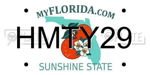HMTY29 Florida License Plate