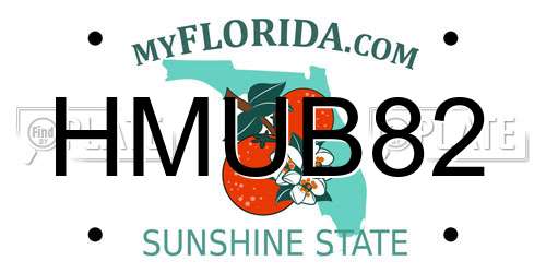 HMUB82 Florida License Plate