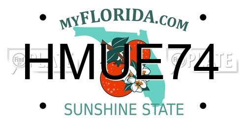 HMUE74 Florida License Plate
