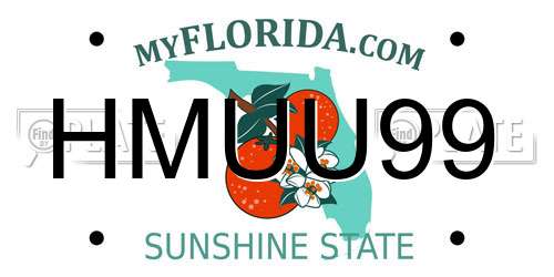 HMUU99 Florida License Plate
