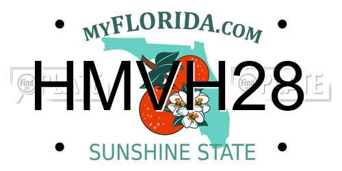 HMVH28 Florida License Plate