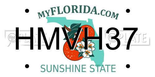 HMVH37 Florida License Plate