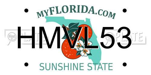 HMVL53 Florida License Plate