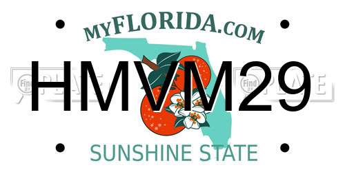 HMVM29 Florida License Plate