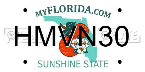 HMVN30 Florida License Plate