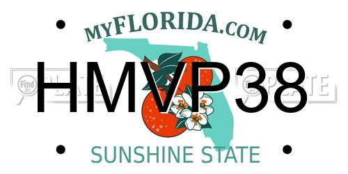 HMVP38 Florida License Plate