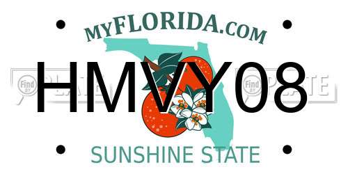 HMVY08 Florida License Plate