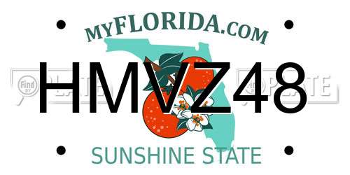 HMVZ48 Florida License Plate