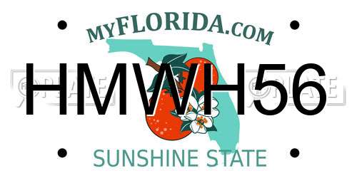 HMWH56 Florida License Plate