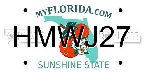 HMWJ27 Florida License Plate