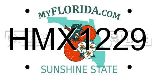 HMX1229 Florida License Plate