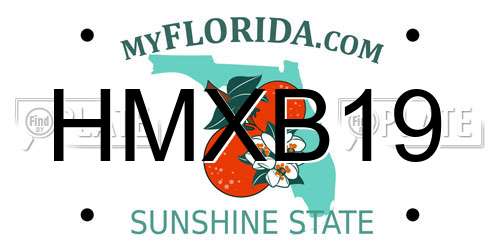 HMXB19 Florida License Plate
