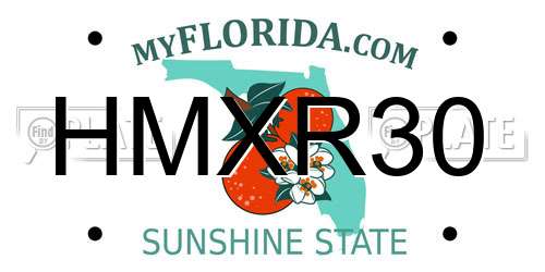 HMXR30 Florida License Plate