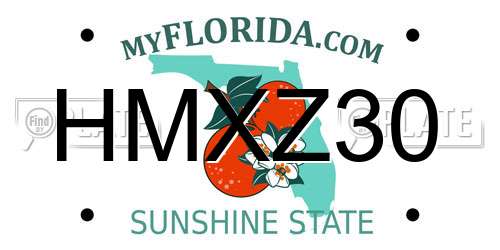 HMXZ30 Florida License Plate