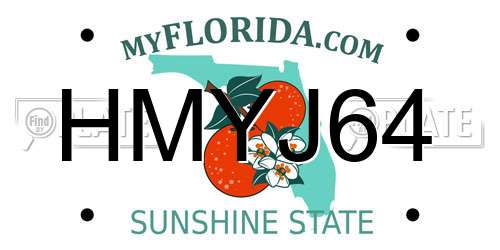 HMYJ64 Florida License Plate