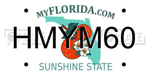 HMYM60 Florida License Plate
