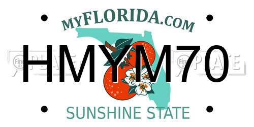 HMYM70 Florida License Plate