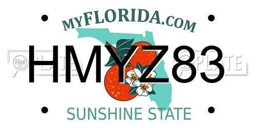 HMYZ83 Florida License Plate