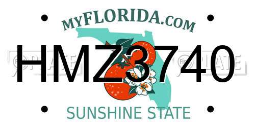 HMZ3740 Florida License Plate