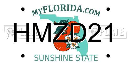 HMZD21 Florida License Plate