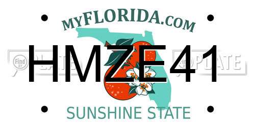 HMZE41 Florida License Plate