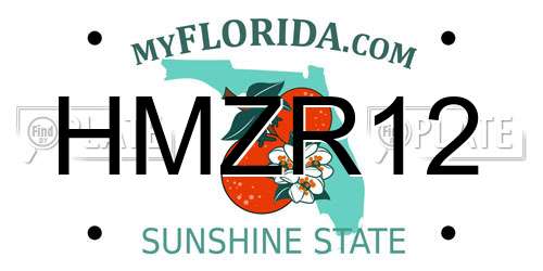 HMZR12 Florida License Plate