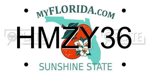 HMZY36 Florida License Plate