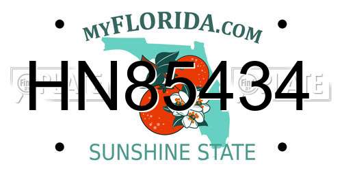 HN85434 Florida License Plate