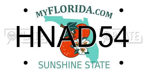 HNAD54 Florida License Plate