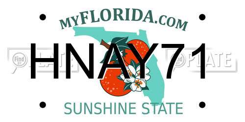 HNAY71 Florida License Plate