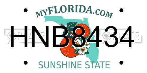 HNB8434 Florida License Plate