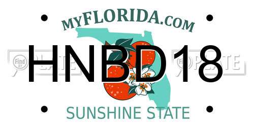 HNBD18 Florida License Plate