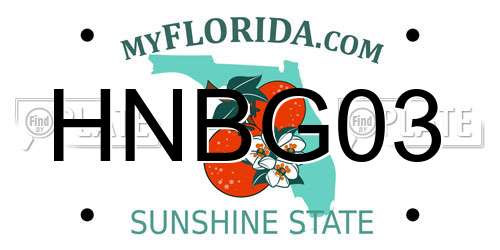 HNBG03 Florida License Plate
