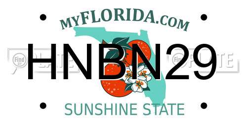 HNBN29 Florida License Plate