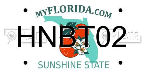 HNBT02 Florida License Plate